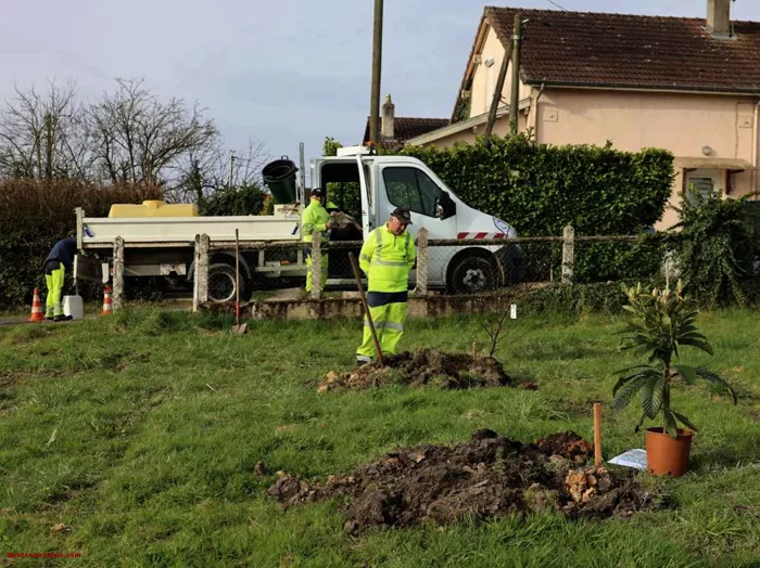 arbre-ecole-220325161037