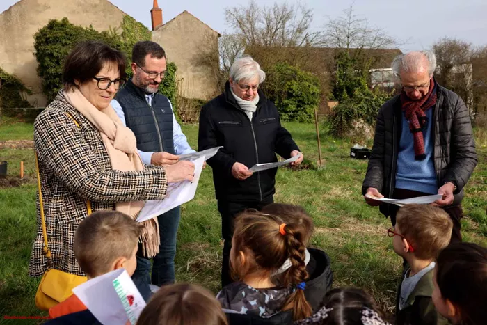 arbre-ecole-220325161039