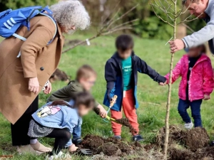 arbre-ecole-220325161042