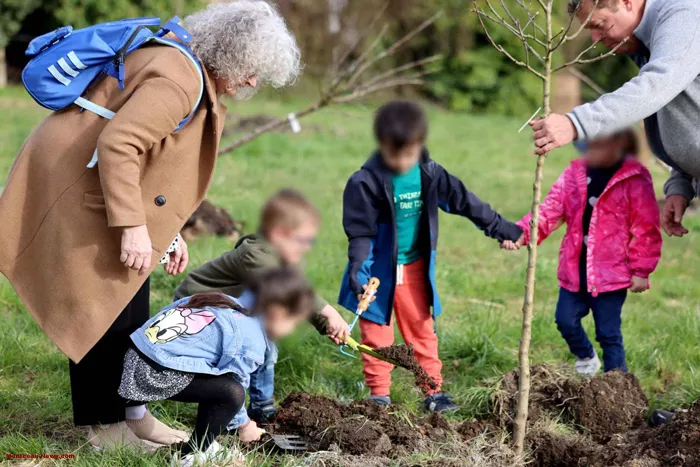 arbre-ecole-220325161042