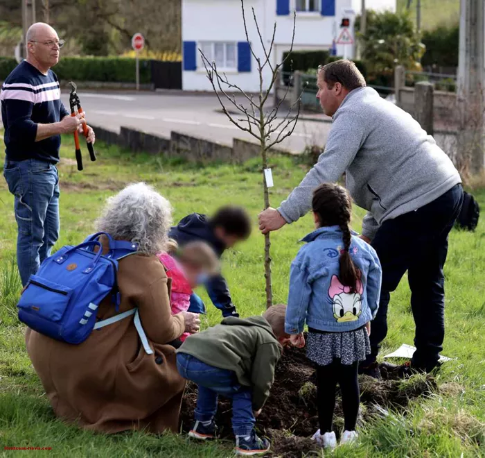 arbre-ecole-220325161043