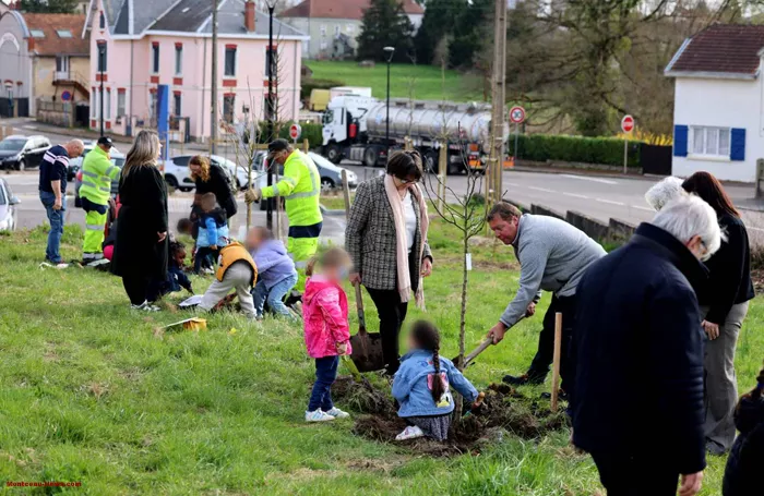 arbre-ecole-220325161044
