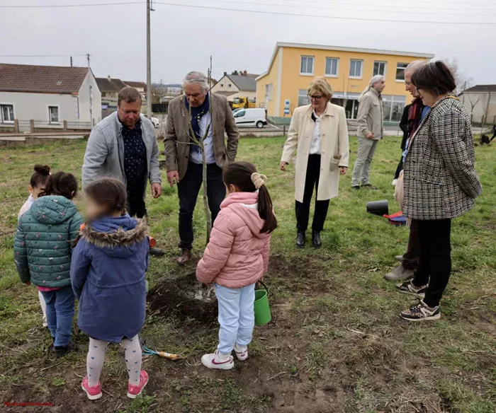 arbre-ecole-220325161046