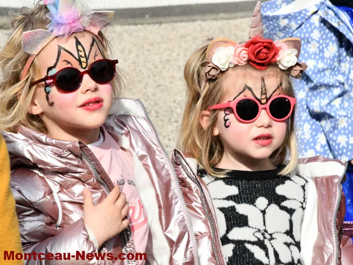 carnaval-sanvignes-090325161037