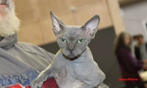 Nos lecteurs ont toujours le bon reflex(e)