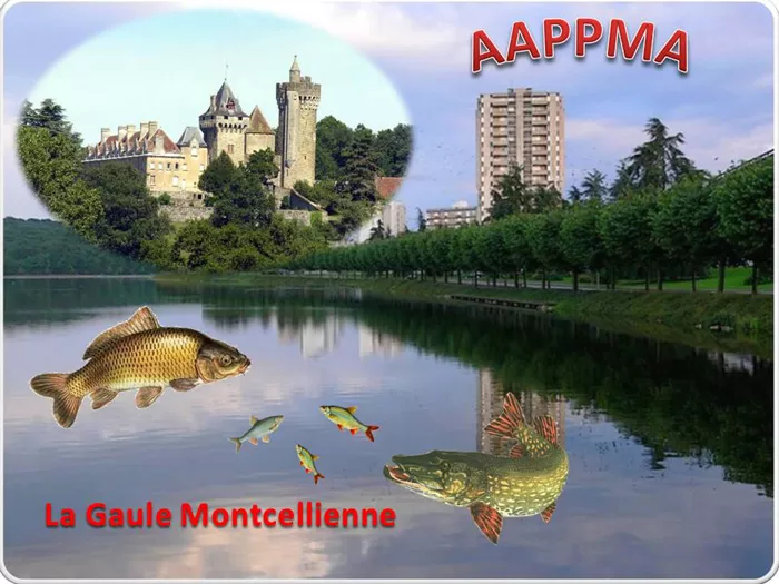gaule-montcelienne-020325161026