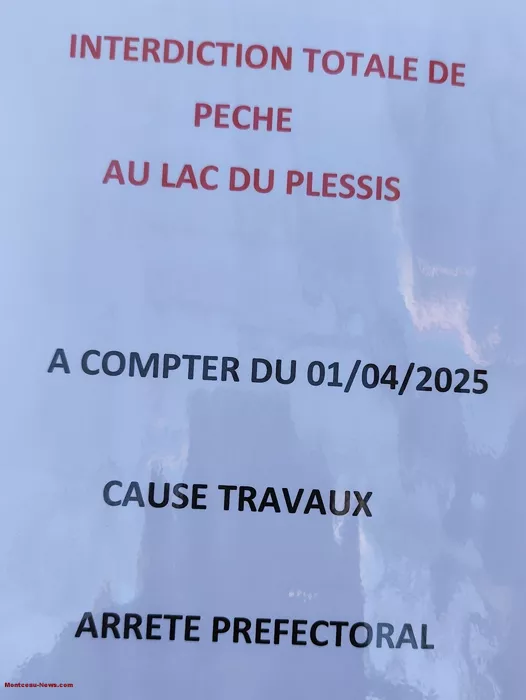 gaule-montcellienne-280325161025