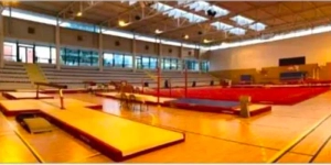 Sanvignes : l’ESS en compétition