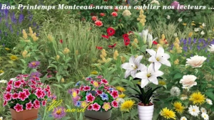 Nos lecteurs sont plus que sympa(s)…