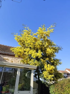 Blanzy : C’est le printemps 