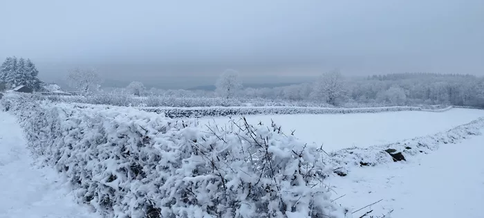 neige-160325161024