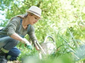 Dans votre magasin Weldom – Montceau-les-Mines