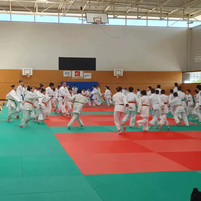 ad-judo-080425161025