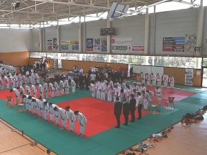 ad-judo-080425161027