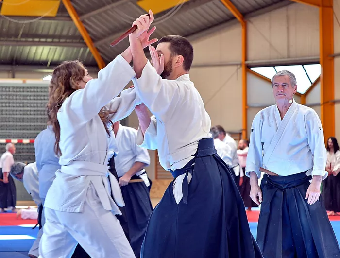 aikido-100425161025