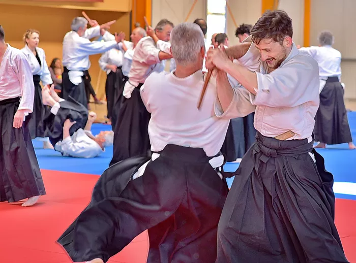 aikido-100425161028
