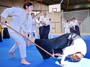aikido-100425161029