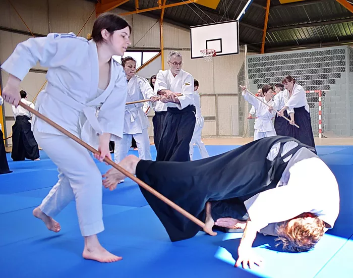 aikido-100425161029