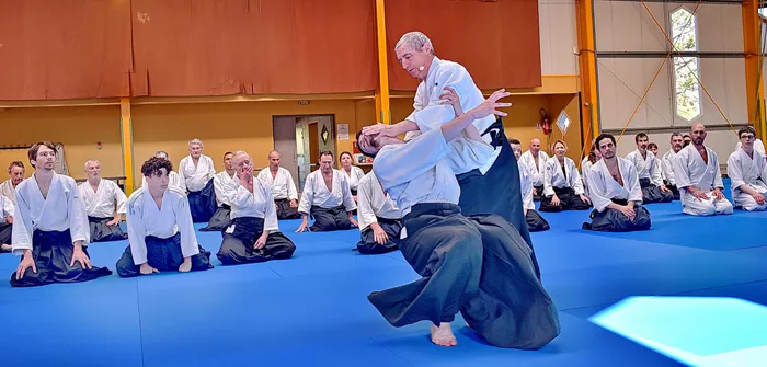aikido-100425161030