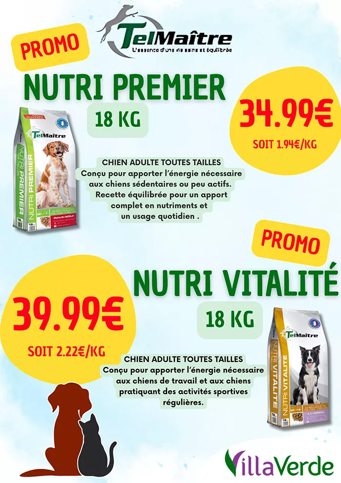 animal-villaverde-2904251
