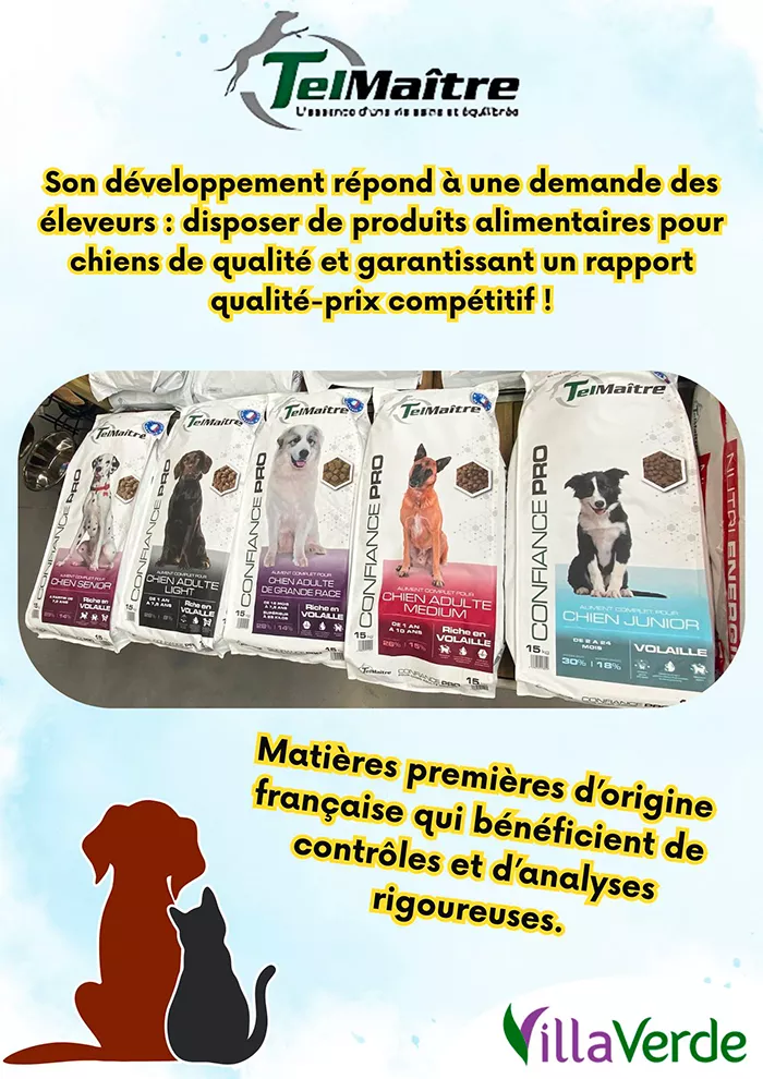animal-villaverde-2904253