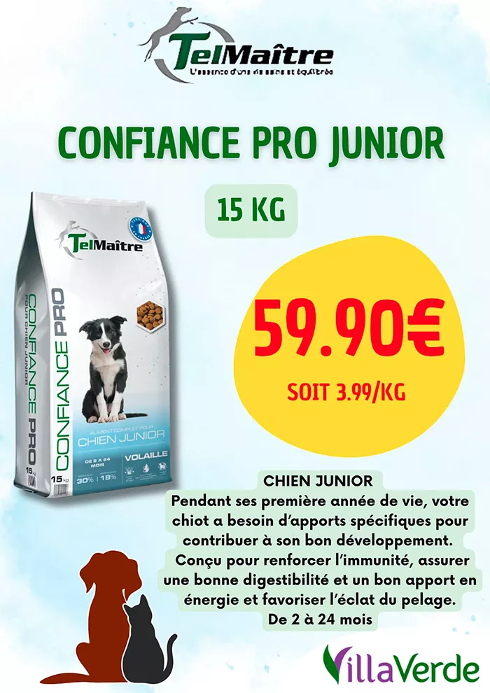 animal-villaverde-2904254