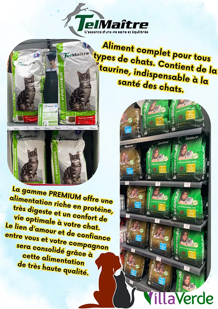 animal-villaverde-2904257