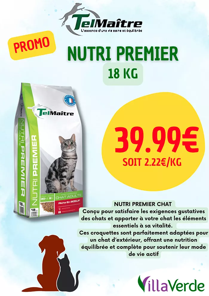 animal-villaverde-2904258