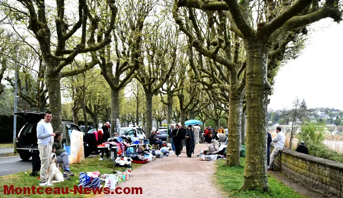broc-marronniers-140425161034