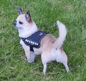 Un lecteur nous écrit…