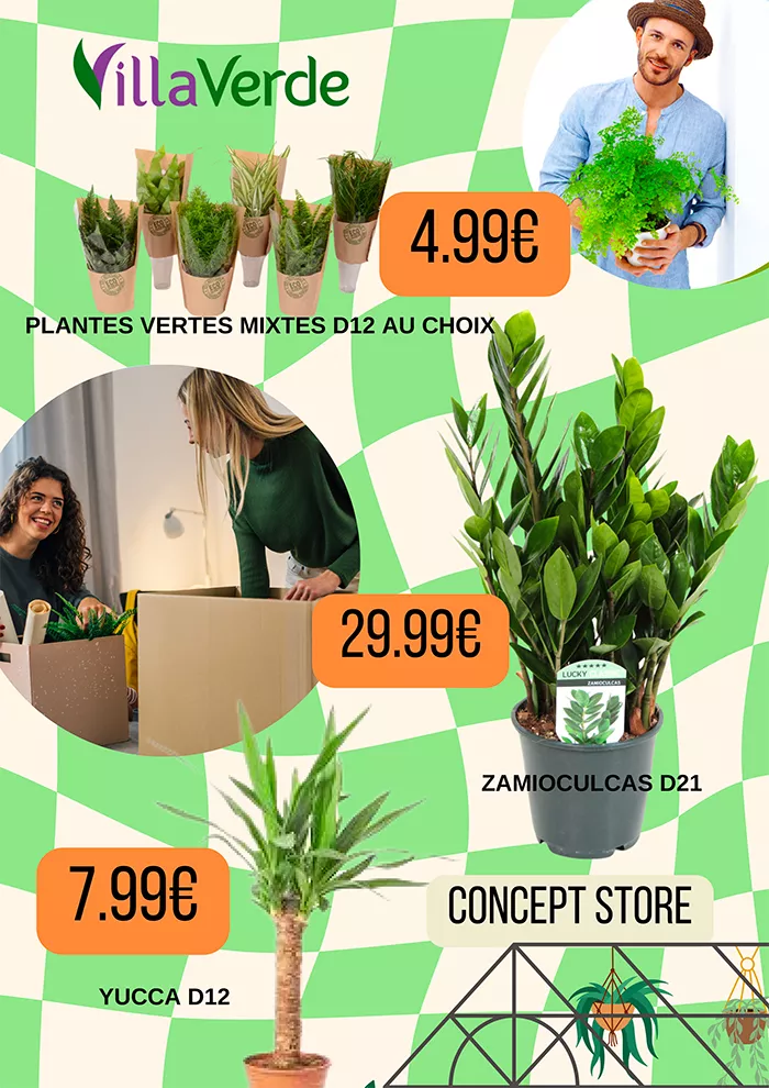 concept-store-2904255