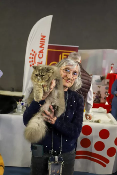 felin-blanzy-010425161037