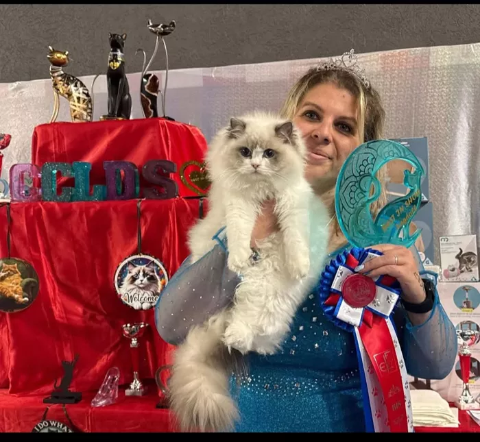 felin-blanzy-010425161051