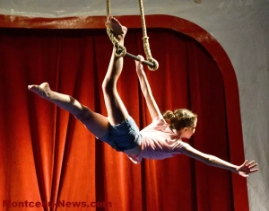 gus-circus-260425161038