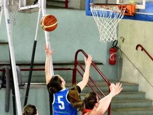 illustration-basket-230425