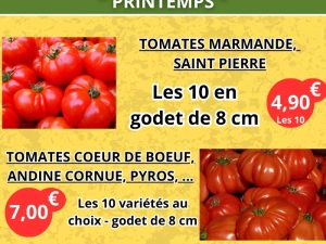 jardinerie-pouilloux-190425161024