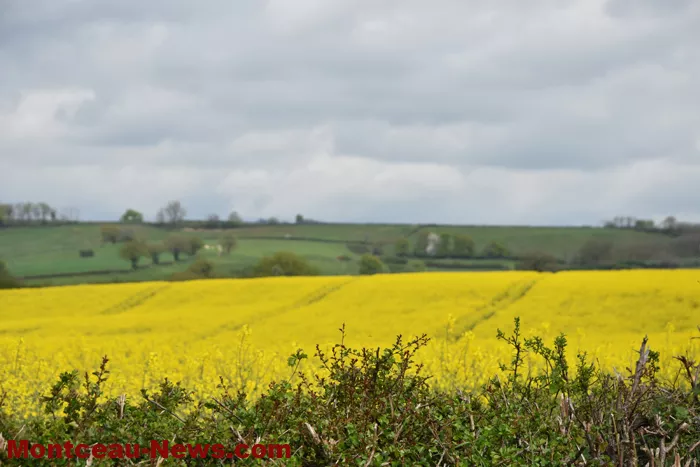 les-bizots-rando-140425161046