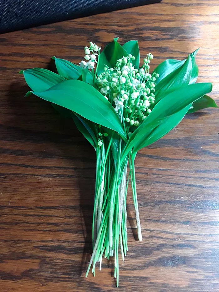 muguet-190425