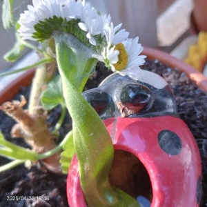 Nos lecteurs ont toujours le bon reflex(e)