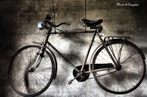 Parenthèse poétique