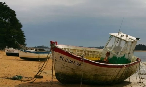 Parenthèse poétique