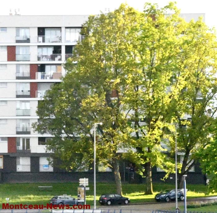 police-zup-230425161029