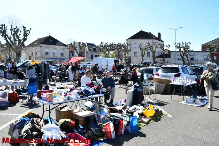 puces-montceau-070425161030
