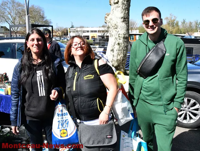 puces-montceau-070425161034
