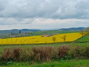 st-berain-170425