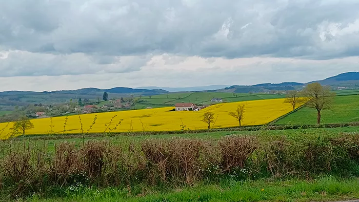 st-berain-170425