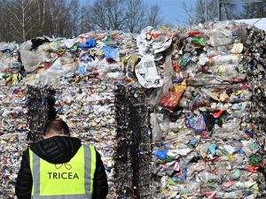 torcy-050425