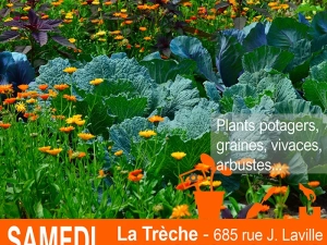 troc-plants-sanvignes-2804252