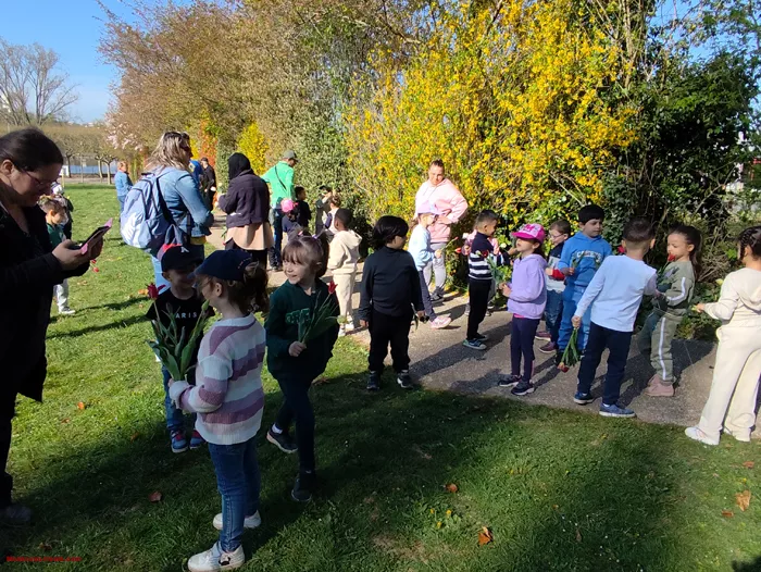 tulipes-ecole-120425161025