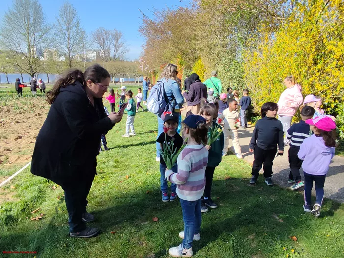 tulipes-ecole-120425161026